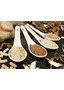 Organic Mushroom Powder LIVER AND KIDNEY