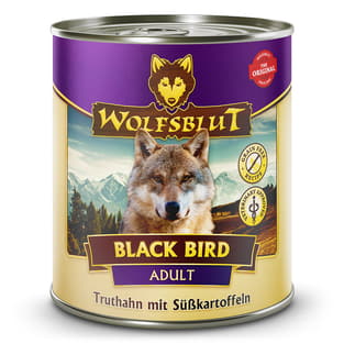 Black Bird Adult Wet