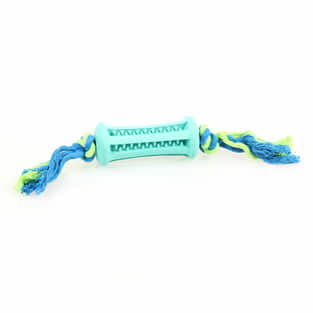 Dental-Fun Mintfresh