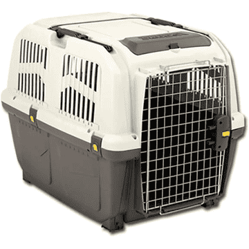 Transportbox IATA gross