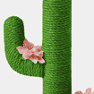 Colonne griffoir Oasis Cactus