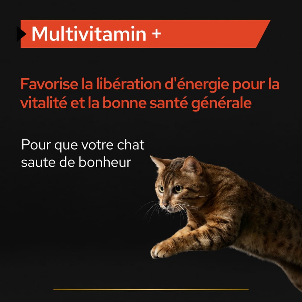 Cat Multivitamins +