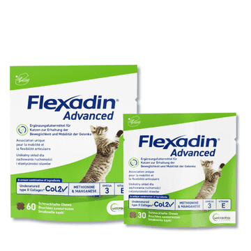 Flexadin Advanced Katze
