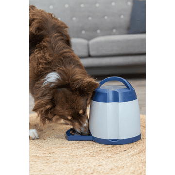 Dog Activity Memory Trainer 3.0