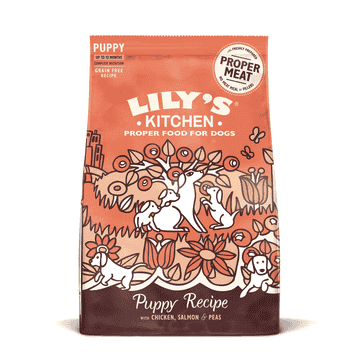 Puppy Recipe