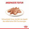 Shih Tzu Adult Mousse - Frischebeutel