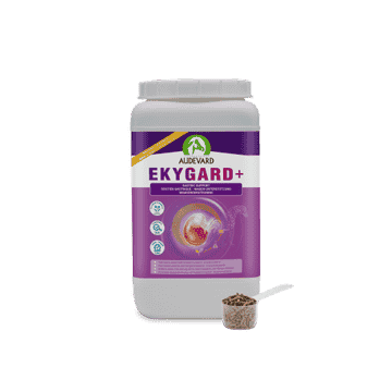 Ekygard +