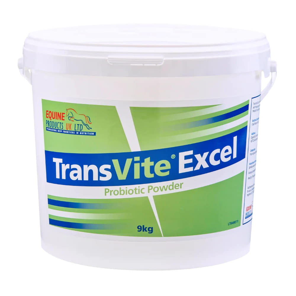 TransVite Excel