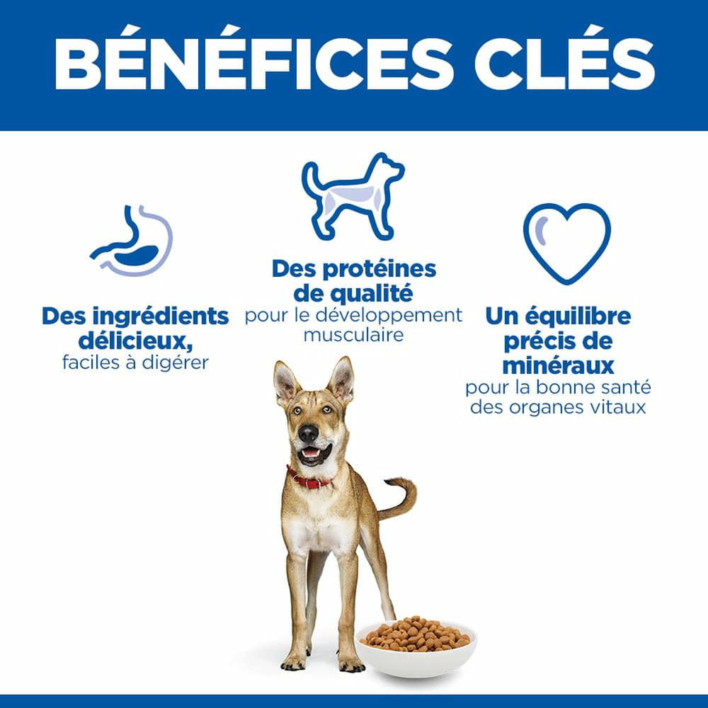 Canine Performance Adult