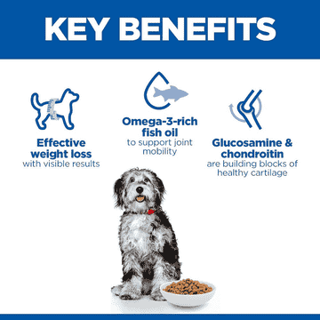 Canine Perfect Weight + Active Mobility Medium Breed