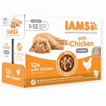 Kitten Advanced Poulet en sauce