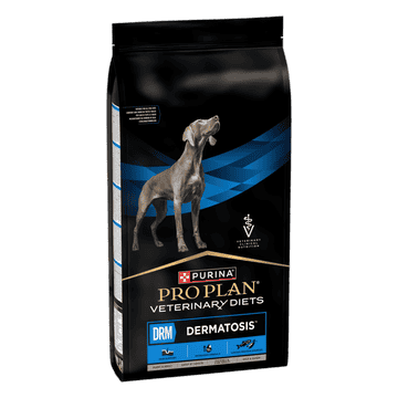 CANINE DRM Dermatosis