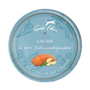 Katze getreidefrei Lachs