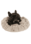 Lit pour chien Alfi crème