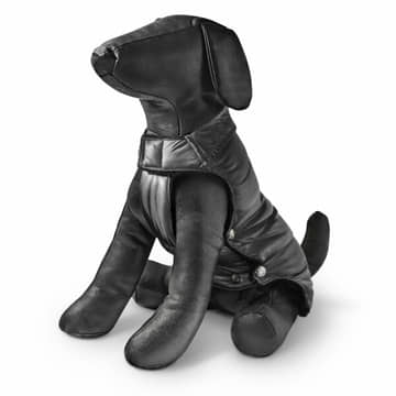 Hundemantel Moncler schwarz