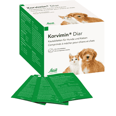 Korvimin Diar