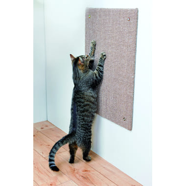 Tableau à gratter XXL