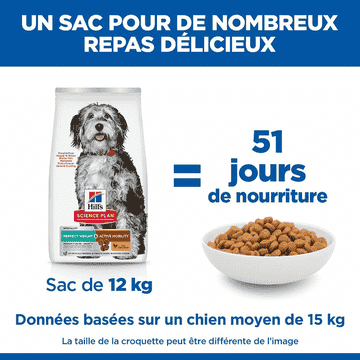 Canine Perfect Weight + Active Mobility Medium Breed