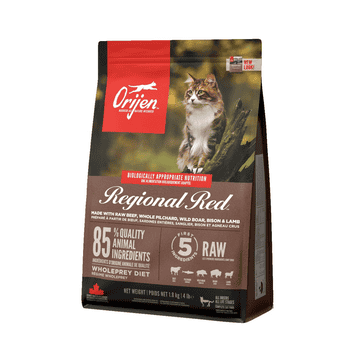 REGIONAL RED Cat
