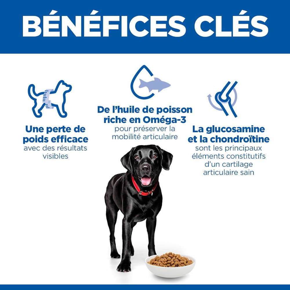 Canine Perfect Weight + Active Mobility Large Breed