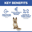 Canine Adult Healthy Mobility Small + Mini Breed