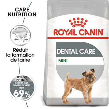 Dental Care Mini