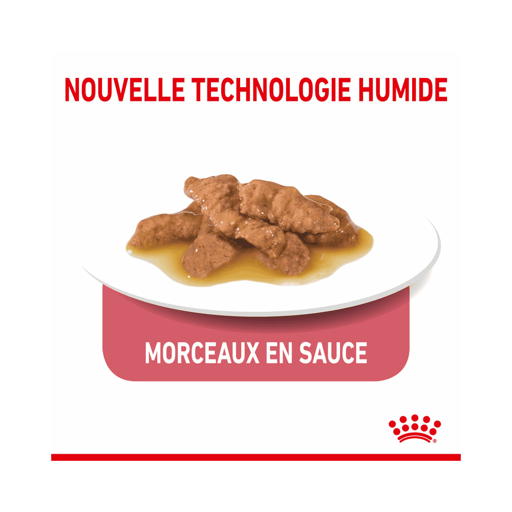 Indoor Sterilised Cat en sauce - sachet