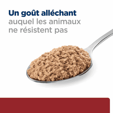 Feline i/d Digestive Care - Boîte