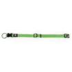 TrendLine ONE Collier, vert