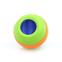 Hundespielzeug Colors
