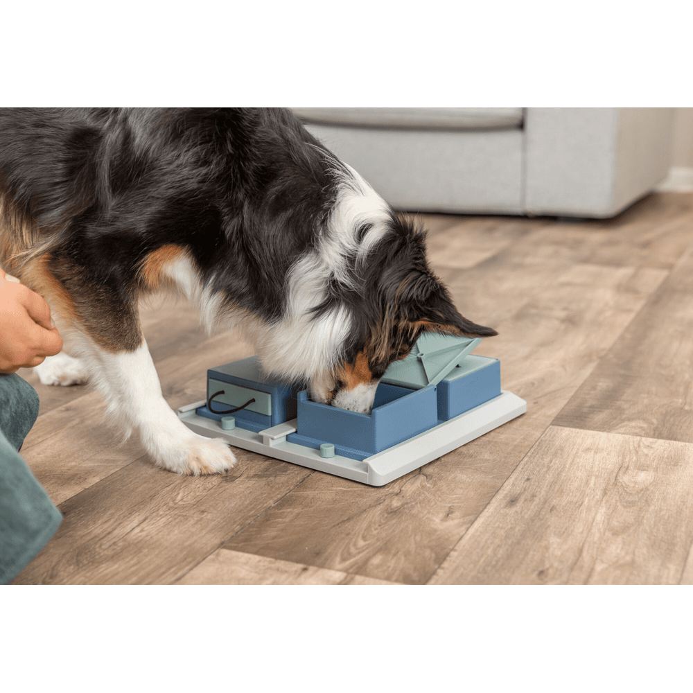 Dog Activity Poker Box 1