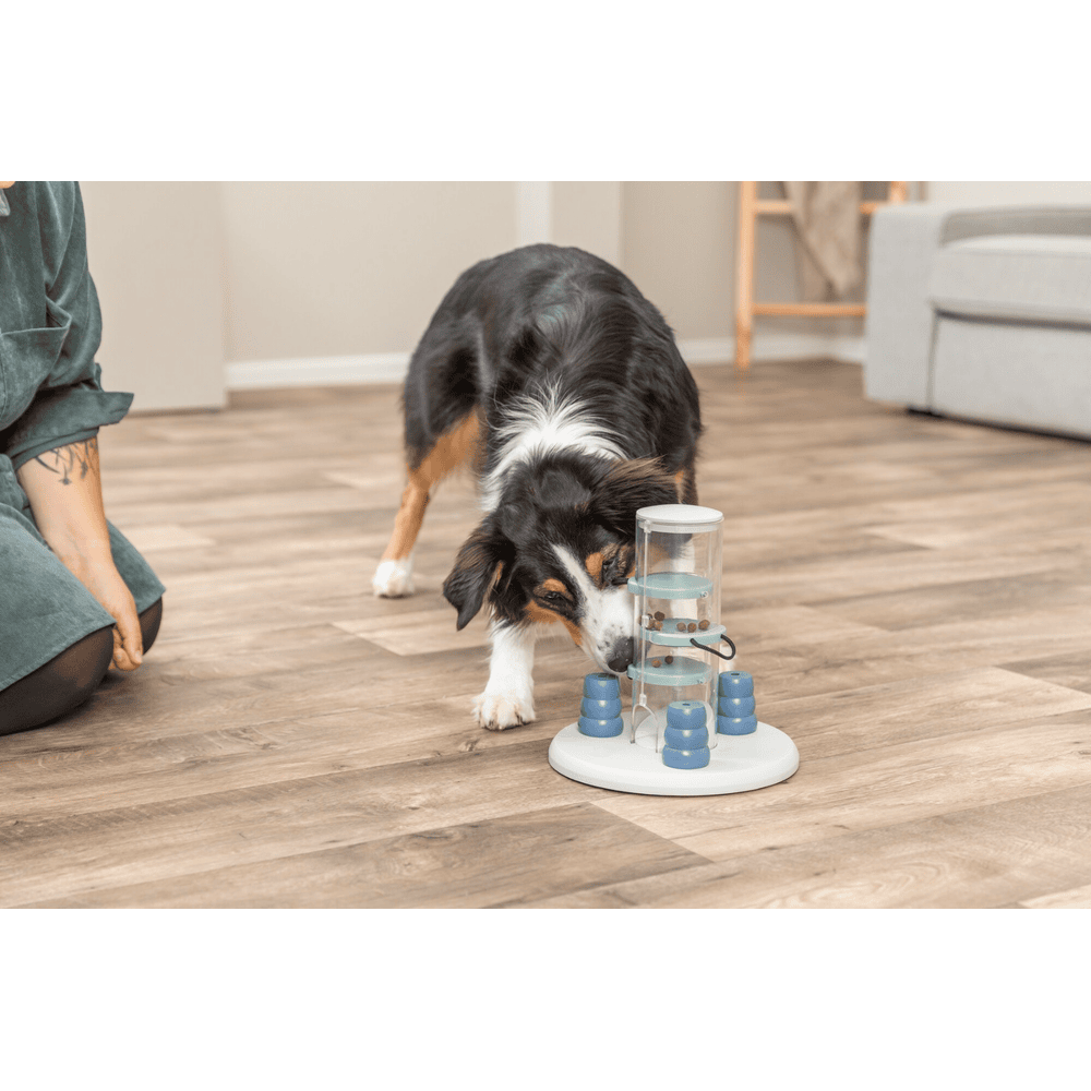 Dog Activity Gambling Tower