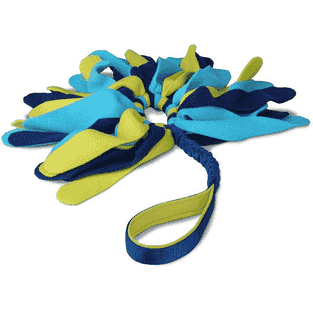 Tuggi Spider