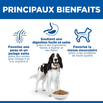 Canine Adult Medium Breed Chicken