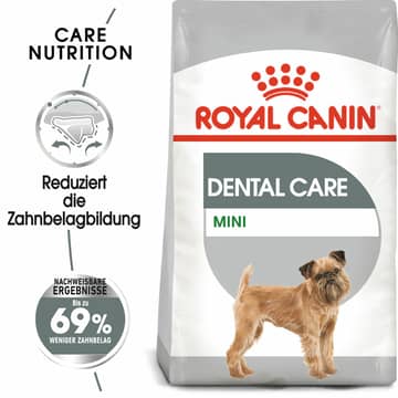 Dental Care Mini