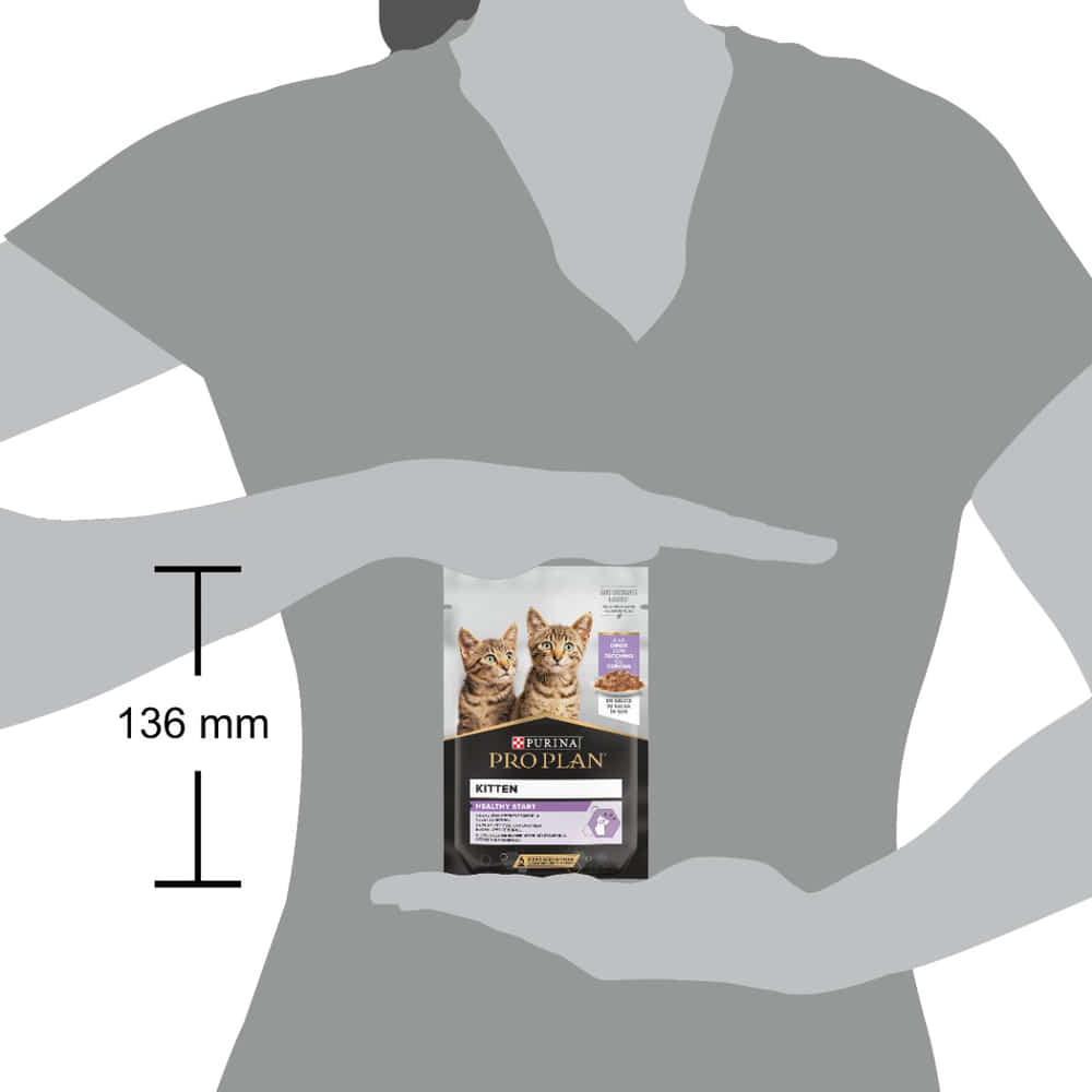 Kitten Healthy Start Truthahn