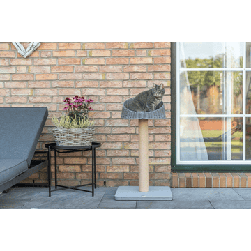 Outdoor Cat Scratcher Amalia, Gray