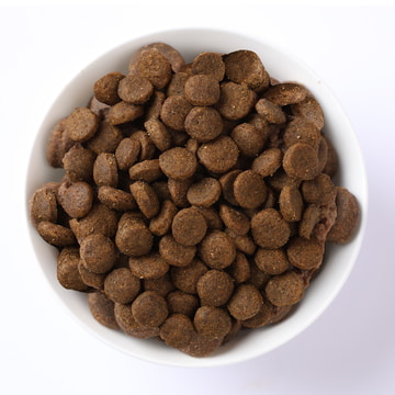 Canine  Puppy med/max Potiron Agneau