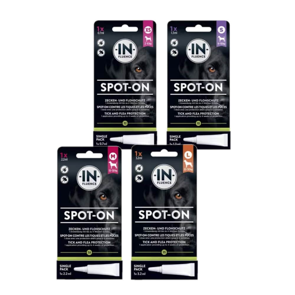 Dog Spot-On Single Pack