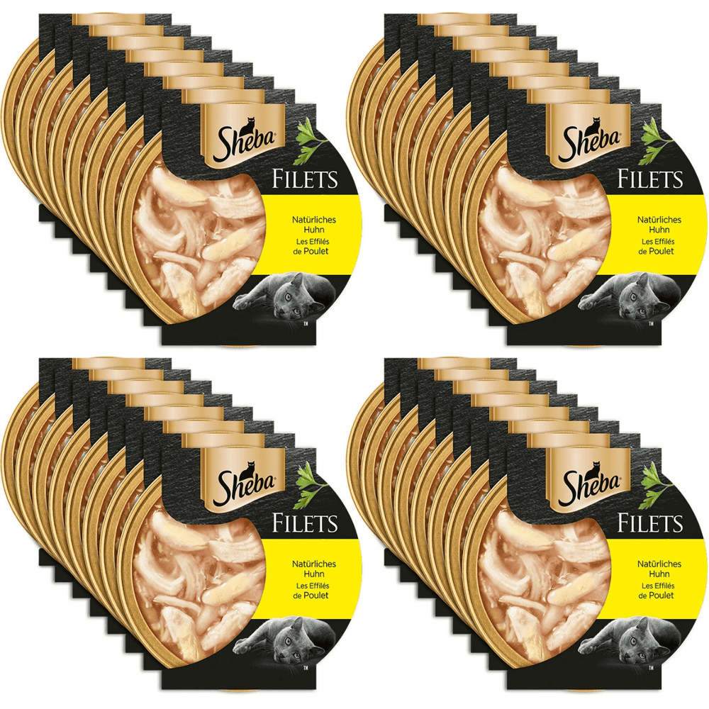 Feine Filets in Sauce