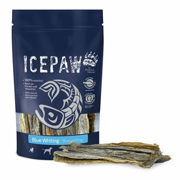 Dog Blue Whiting
