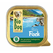 Organic fish - in trays