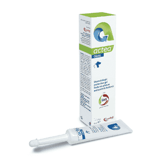 Actea Oral