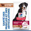 Canine Adult Large Breed Lamb & Rice