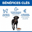 Canine Perfect Weight + Active Mobility Large Breed