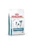 Hypoallergenic Small Dogs