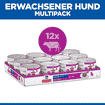 Canine Small & Mini Breed Mature Adult Beef - Dose