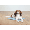 Tapis de refroidissement bleu clair
