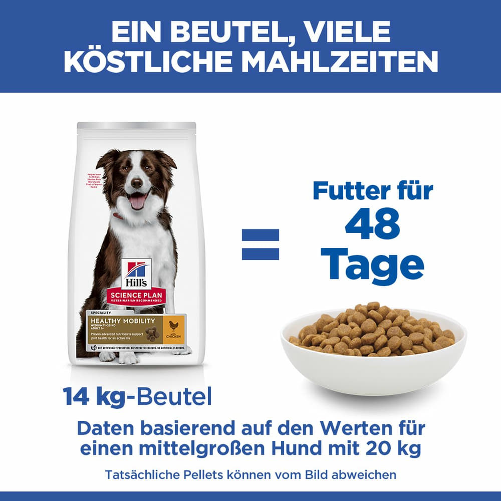 Canine Adult Healthy Mobility Medium Breed