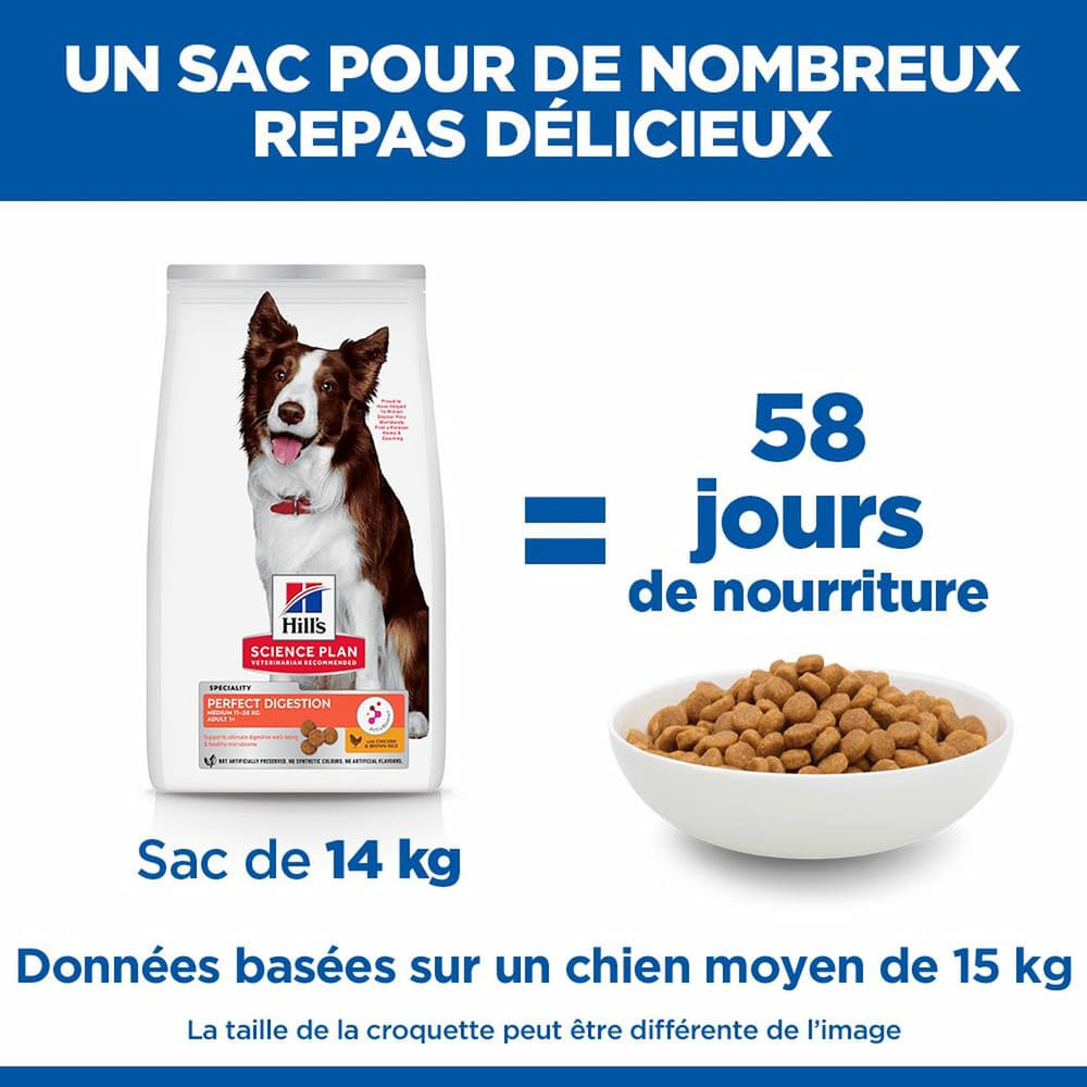 Canine Perfect Digestion Medium Breed